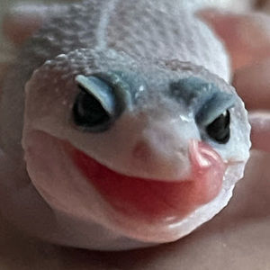 Meet your Posher, Jaelynn